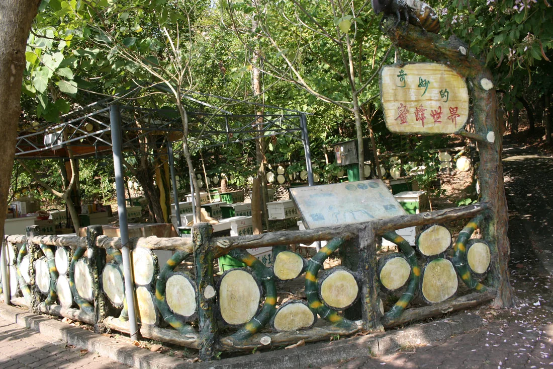 This image has an empty alt attribute; its file name is cehngqinglake2-63_orig-jpg.webp